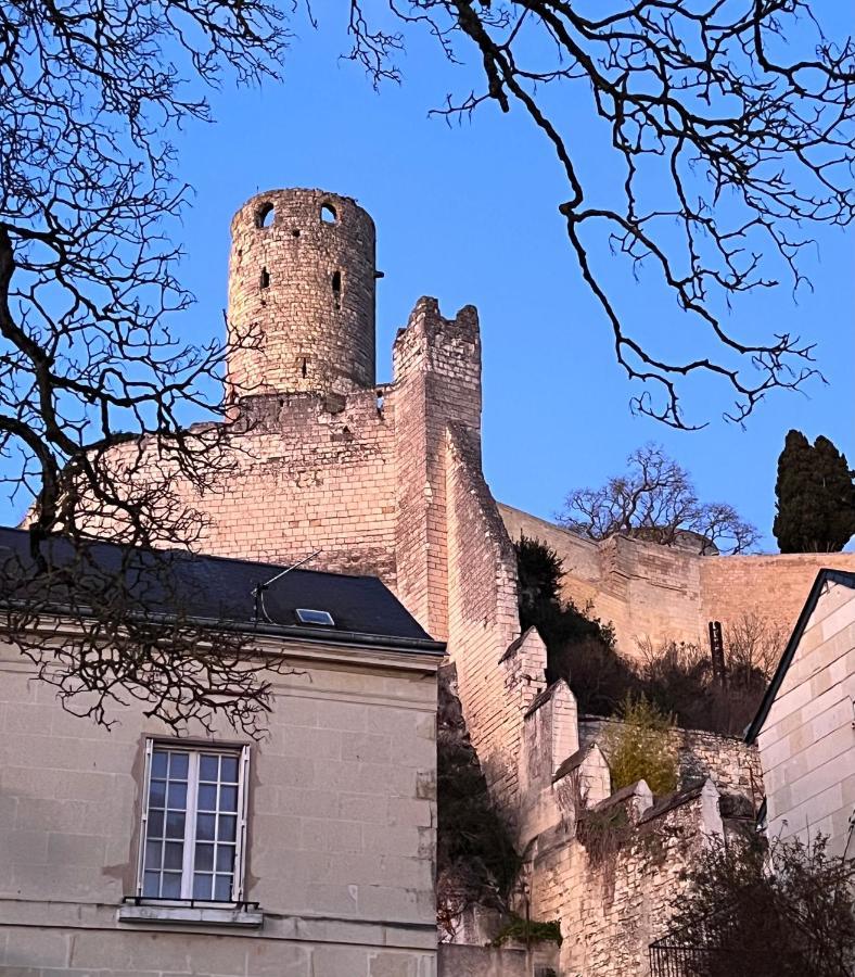 Le Rabelais, Superbe Appartement En Duplex, Proche Forteresse Et Monument Historique Chinon Extérieur photo